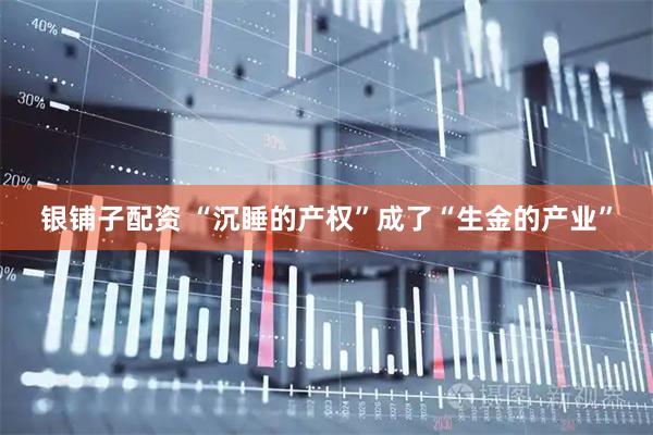 银铺子配资 “沉睡的产权”成了“生金的产业”